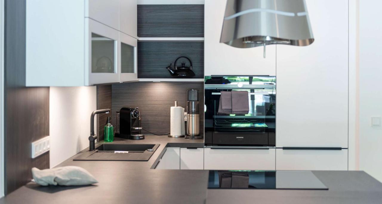 Apartments Traunkai 巴德伊舍 外观 照片